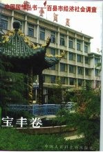 百县市经济社会调查 宝丰卷