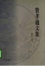 费孝通文集 第11卷 1987-1989