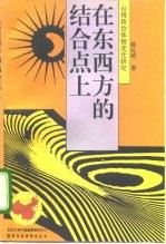 在东西方的结合点上 台湾政治体制变迁研究