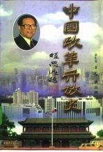 中国改革开放史 下