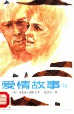 爱情故事 续篇