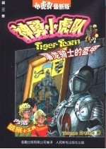 屠龙骑士的盔甲
