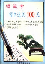 钢笔字楷书速成100天