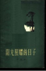阳光照耀的日子
