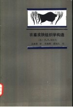 农畜皮肤组织学构造