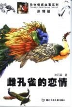 雌孔雀的恋情