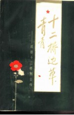 十二桥边草青青 成都十二桥烈士传