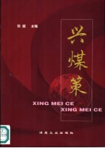 兴煤策