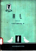 羽毛 鹅鸭毛绒