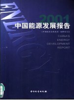 中国能源发展报告 2001