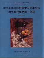 中央美术学院附属中等美术学校学生留校作品选 色彩