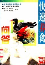 快速养禽