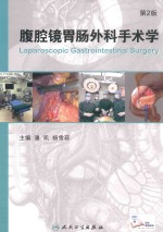 腹腔镜胃肠外科手术学 第2版