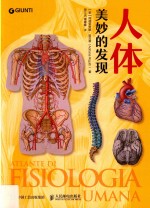人体 美妙的发现