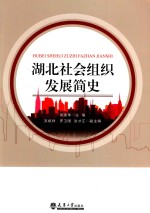湖北社会组织发展简史 分社