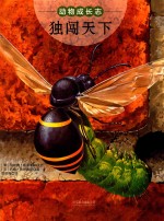 动物成长志 独闯天下
