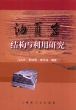 油页岩结构与利用研究