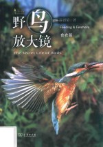 野鸟放大镜 食衣篇