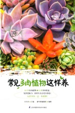 常见多肉植物这样养