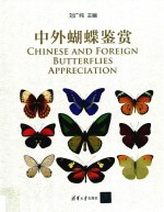 中外蝴蝶鉴赏