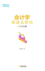 会计学就这么好玩 全彩图解版