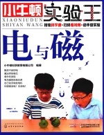 小牛顿实验王 电与磁