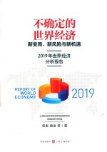 不确定的世界经济 新变局、新风险与新机遇 2019年世界经济分析报告