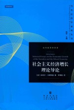 社会主义经济增长理论导论
