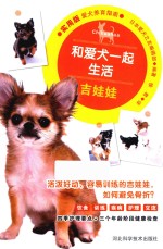 和爱犬一起生活 吉娃娃