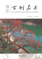 怒江古树名木