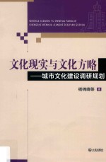 文化现实与文化方略 城市文化建设调研规划