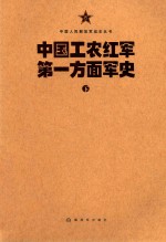 中国人民解放军战史丛书 中国工农红军方面军史 下