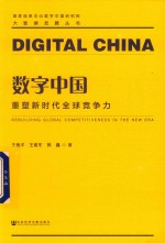 大数据发展丛书 数字中国 重塑新时代全球竞争力