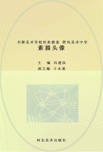 名牌美术学校经典教案 野风美术中学 素描头像
