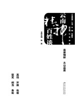 “云南精神”丛书 云南精神百姓谈