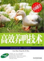 高效养鸭技术