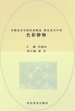 名牌美术学校经典教案 野风美术中学 色彩静物