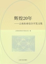 辉煌20年 云南农业综合开发文集