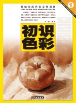 基础绘画色彩全程训练 初识色彩