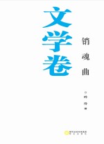 银川文学艺术精品工程 文学卷 销魂曲