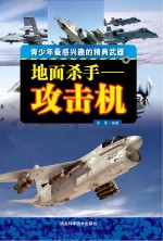 地面杀手 攻击机