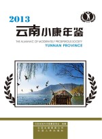云南小康年鉴 2013