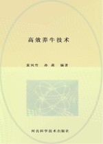 高效养牛技术