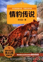 情豹传说