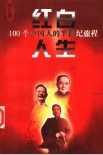 红白人生：100个中国人的半世纪旅程 第4卷 雨打残荷
