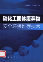磷化工固体废弃物安全环保堆存技术