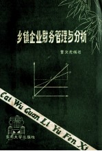 乡镇企业财务管理与分析