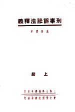 刑事诉讼法释义 上