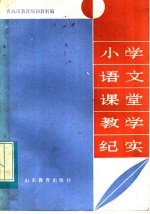 小学语文课堂教学纪实