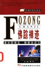 佛踪禅迹